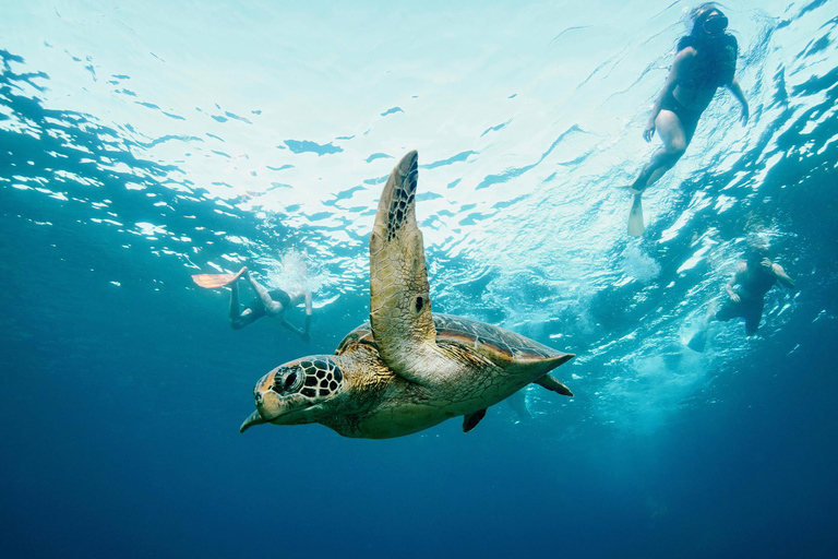 From Bali: Nusa Penida Private Snorkeling Tour with Lunch Shared Boat Trip with Meeting Point at Sanur
