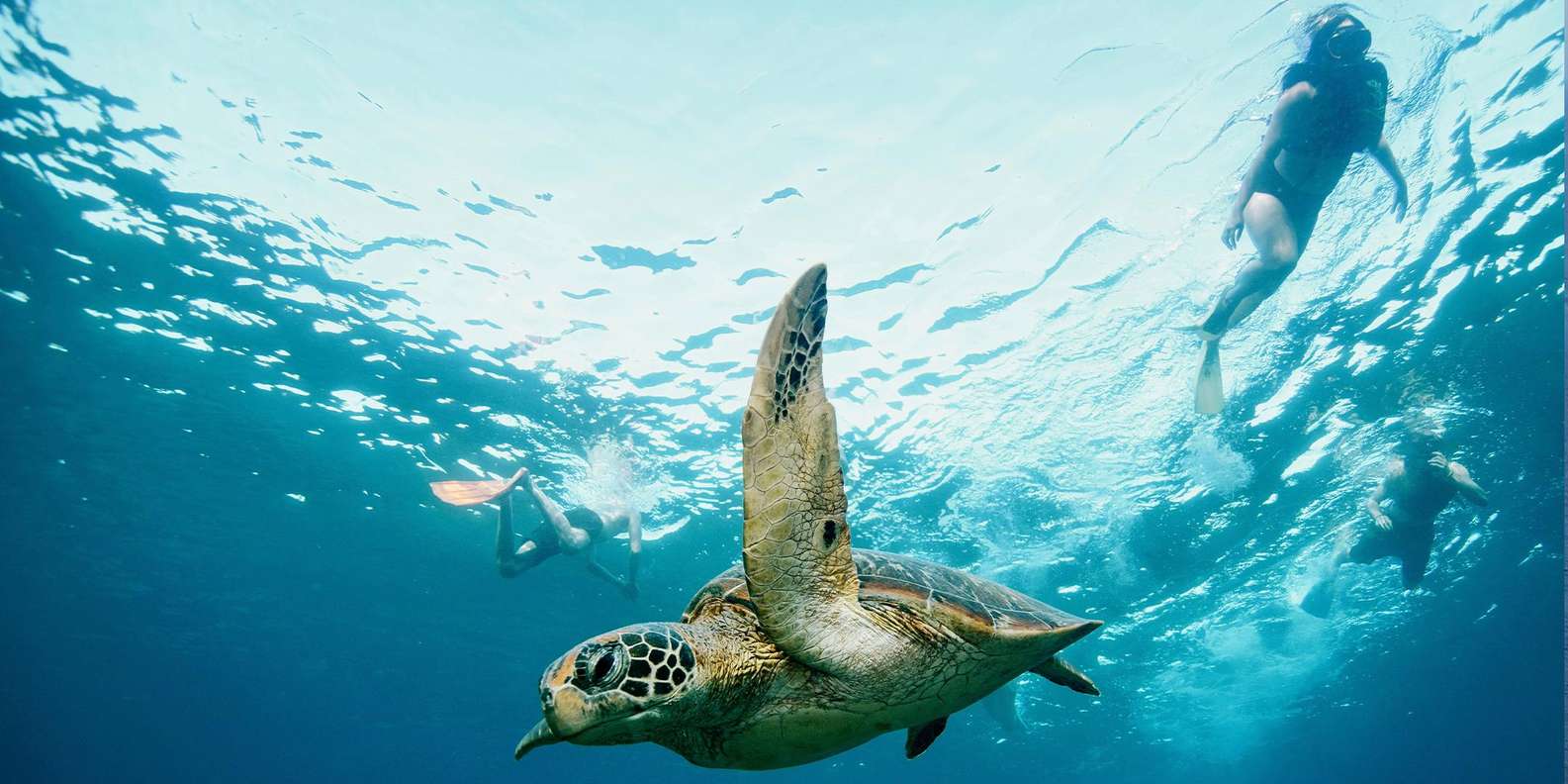 From Bali: Nusa Penida Private Snorkeling Tour with Lunch