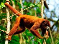 Excursion to Sandoval Lake 4D/3N + birdwatching - Housity