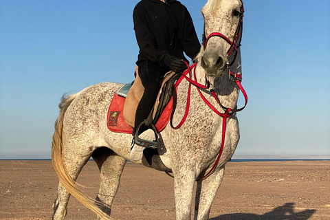 Hurghada: Abenteuerausflug mit Pferden durch die Wüste und zum StrandPrivater Ausritt in Hurghada: Wüste &amp; Strand