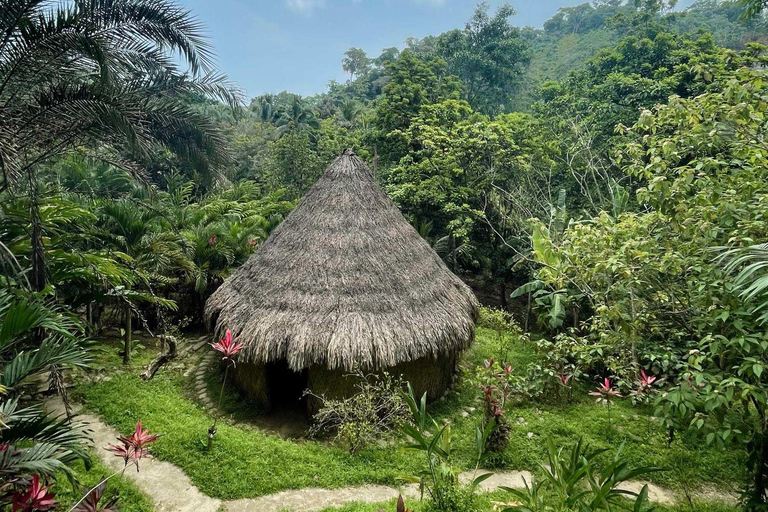 Explore the Magic of Tayronaka: Indigenous Culture, Nature and Adventure