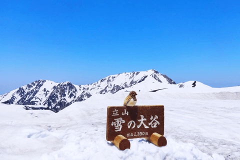Two-Day Kamikochi & Tateyama Kurobe Snow Corridor Tour