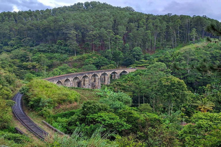 Circuit économique de 6 jours au Sri Lanka avec transferts aéroport