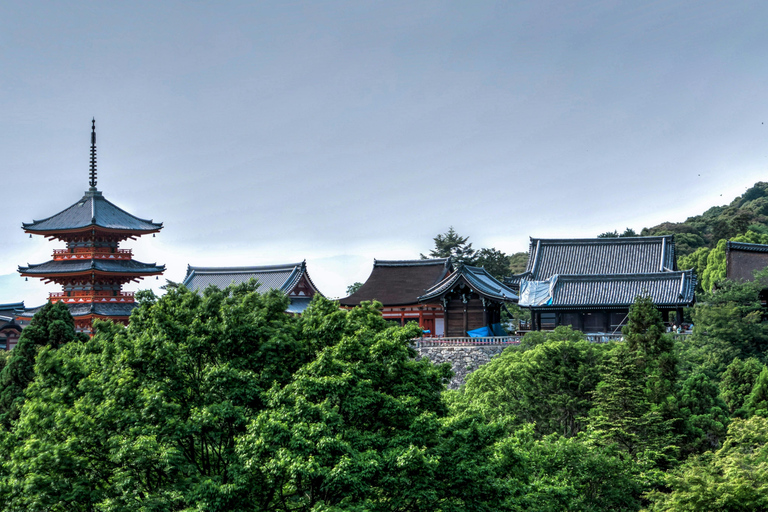 Osaka: Excursión de un día a Kioto en Shinkansen - Perfecto para cruceros