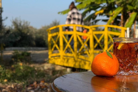 Longevity Secrets of Azerbaijan: Lankaran & Astara tour Private tour