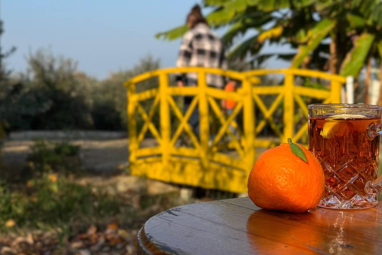 Longevity Secrets of Azerbaijan: Lankaran & Astara tour Private tour