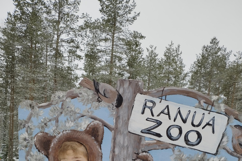 Rovaniemi: Ranua’s Wildlife Park Ticket with Transportation