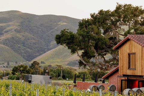 Santa Barbara Wine Country Vineyard & Village Shuttle & Tour