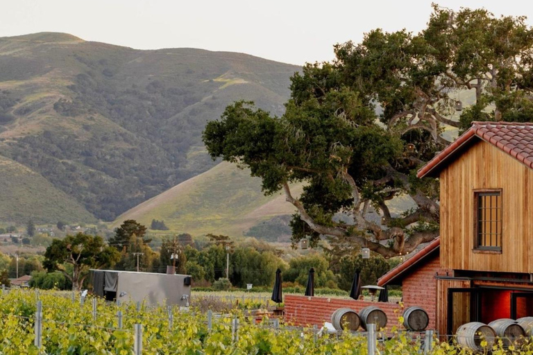 Santa Barbara Wine Country Vineyard & Village Shuttle & Tour