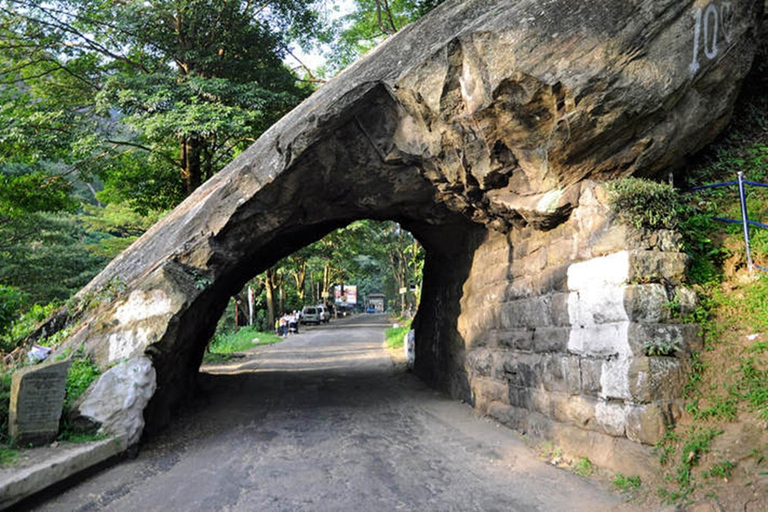 Bandaranaike Airport to Sigiriya Transfer with Highlights