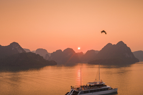 Hanoi:Halong Catamaran 5* Day Cruise,champoline,water slide Without Transfer Service