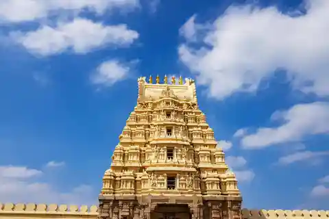 Private Day Tour from Mysore to Belur and Beyond