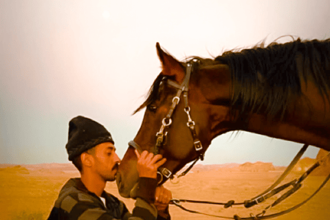 Al-Ula: escursioni a cavallo con guidaEquitazione ad Al Ula (Al Wahah Road)