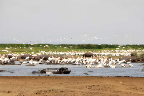 2 days safari Tarangire &Ngorongoro crater (private/joining) 2 days safari Tarangire &Ngorongoro crater (joining-camping)