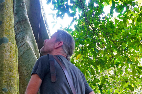 Luang Prabang: E-Mountainbike Tour with Waterfall & Lunch