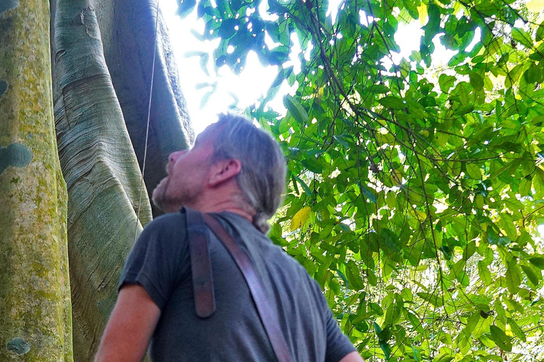 Luang Prabang: E-Mountainbike Tour with Waterfall & Lunch