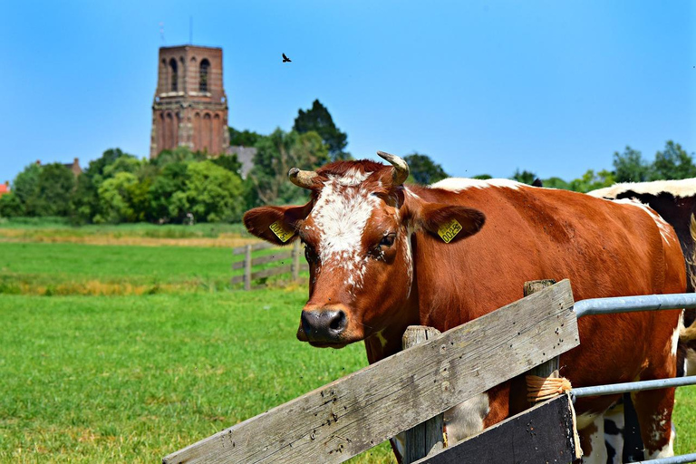 Amsterdam: Guided Countryside 4-Hour Bike Tour