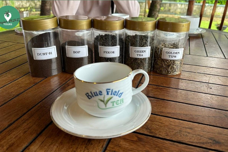 Kandy: Nuwara Eliya Tag Erkundung per Tuk Tuk mit ortskundigem Guide