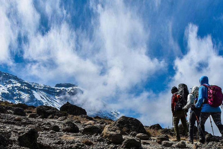 Moshi: Tagestour zum Shira Plateau mit Wanderung und Rundfahrt