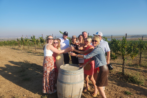 Sonoma Valley: Guided Winery Tour with Picnic Lunch