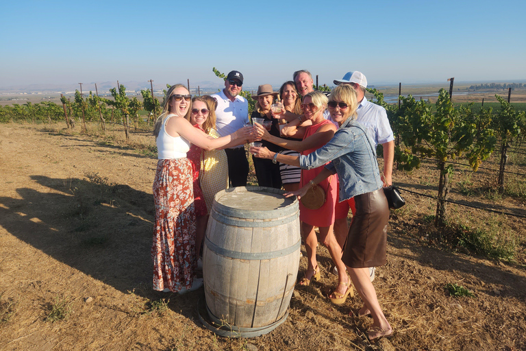 Sonoma Valley: Guided Winery Tour with Picnic Lunch