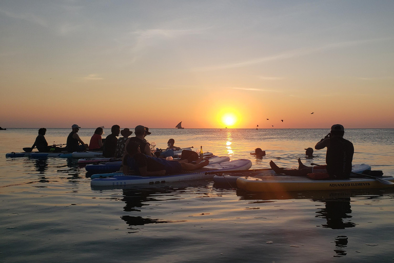 Zanzibar: Unik guidad mangrovetur med SUP eller kajak