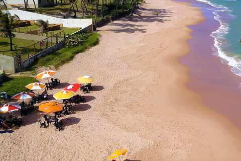 Salvador North Shore: Beach Hopping Tour to Praia do Forte