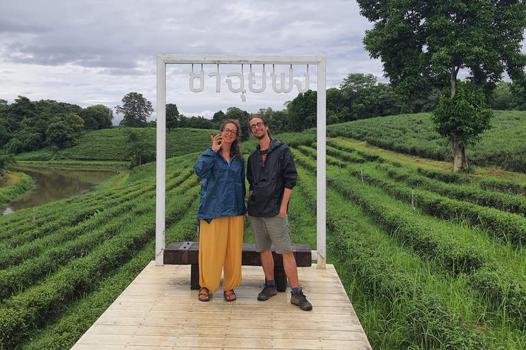 Unforgettable tour of Chiang Rai Private tour