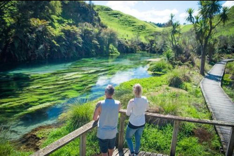 Auckland to Rotorua Private Custom Tour & Hotel Pickup