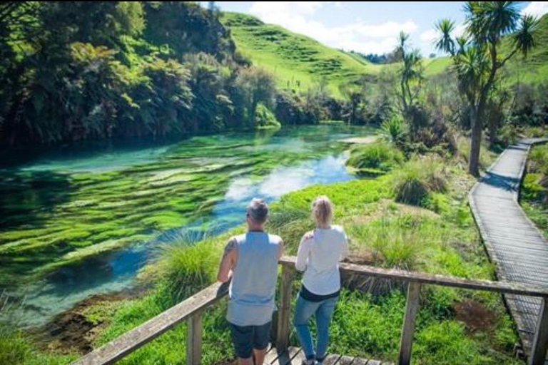 Auckland to Rotorua Private Custom Tour & Hotel Pickup