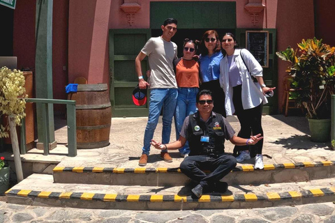 Experiencia de vino, pisco y buggy