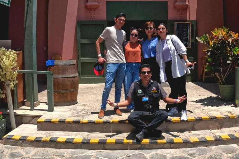 Experiencia de vino, pisco y buggy