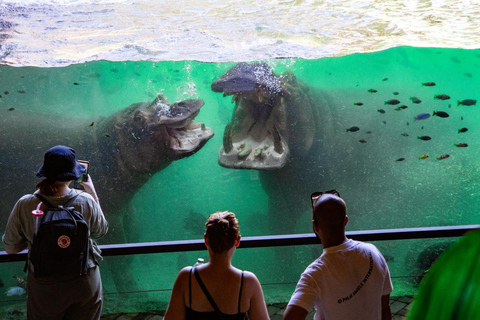 Valência: Ingresso para o Bioparque de Valência