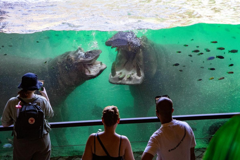 Valencia: Bioparc Valencia Biljett för inträde