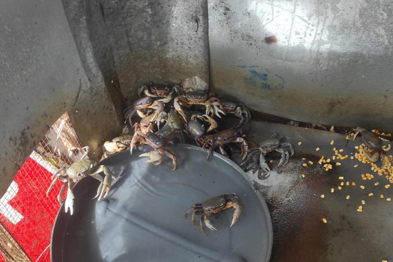 Puerto Plata City Tour: Historic Center & Countryside Ride