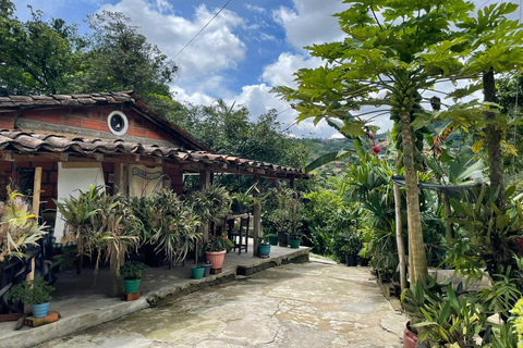 MEDELLÍN : VISITE D&#039;UNE DEMI-JOURNÉE DANS UNE EXPLOITATION FAMILIALE DE CAFÉ