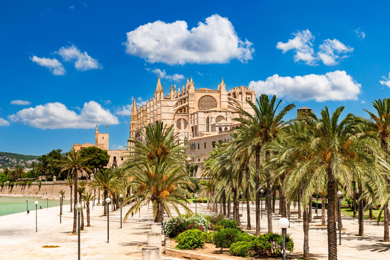 Palma de Mallorca: Valldemossa & Cathedral Shore Excursion