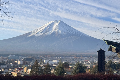 Tokyo: Private Daytrip to Mount Fuji - Fully Customizable Mt Fuji Private Luxury Van Tour (Customizable Experience)