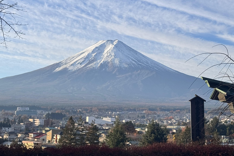 Tokyo: Private Daytrip to Mount Fuji - Fully Customizable Mt Fuji Private Luxury Van Tour (Customizable Experience)