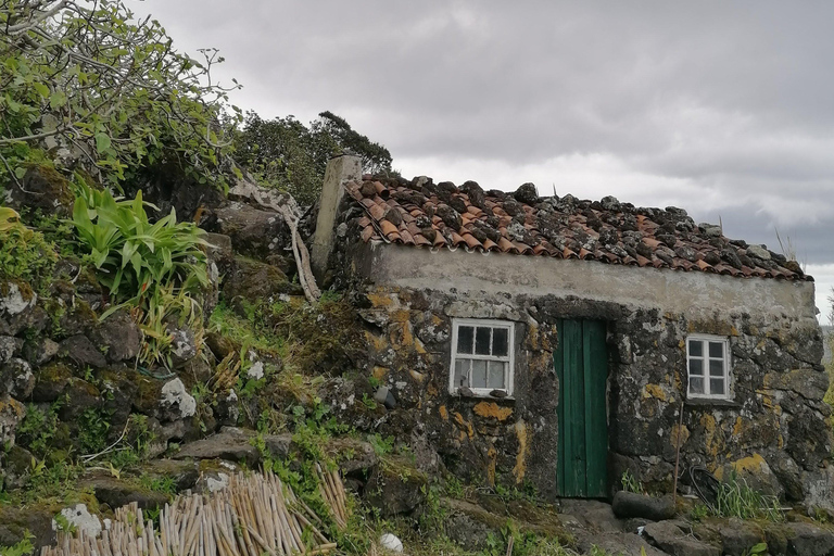 São Jorge: Camping- och vandringstur i Fajã