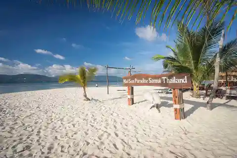 Tour di mezza giornata di snorkeling sull'Isola dei Maiali (Koh Mudsum) e Koh Tan