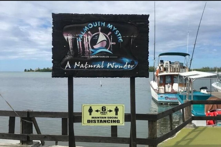 Luminous lagoon : Night Tour from Ocho Rios and Runaway Bay