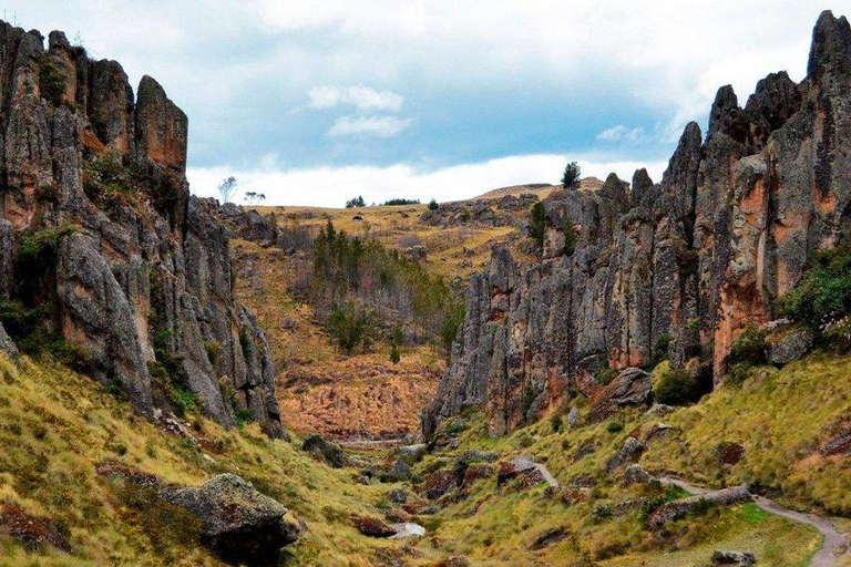 Cajamarca: Cumbemayo Tour & Bellavista Viewpoint Cajamarca: Cumbemayo Tour & Bellavista, English Guide