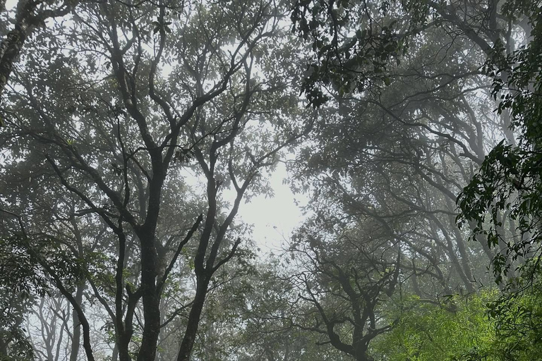 Kathmandu: Shivapuri National Park Nature Photography Tour