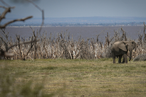 Lake Manyara Day TripPrivate Lake Manyara day trip