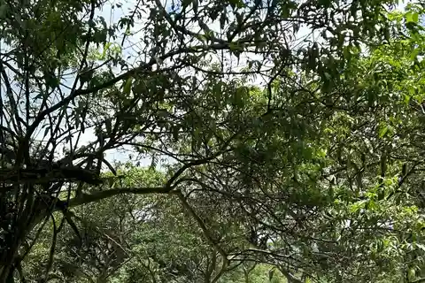 Puerto Ayora: Tour di un giorno degli altipiani di Santa Cruz e dello snorkeling
