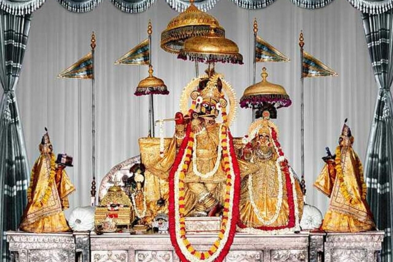 Visite privée des temples de Jaipur et du temple des singes
