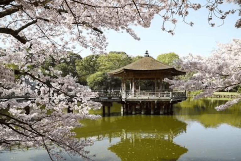 Nara: Private Full-Day Tour with Licensed Guide