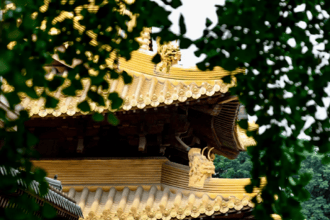 Shanghai: Jing'an Temple Golden Pagoda & Contrast Ticket