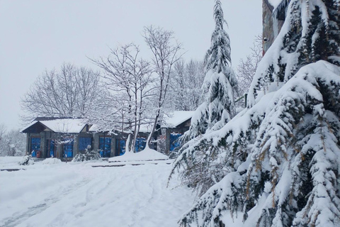 8-Day Special Azerbaijan - Gabala, Sheki and Baku Tour